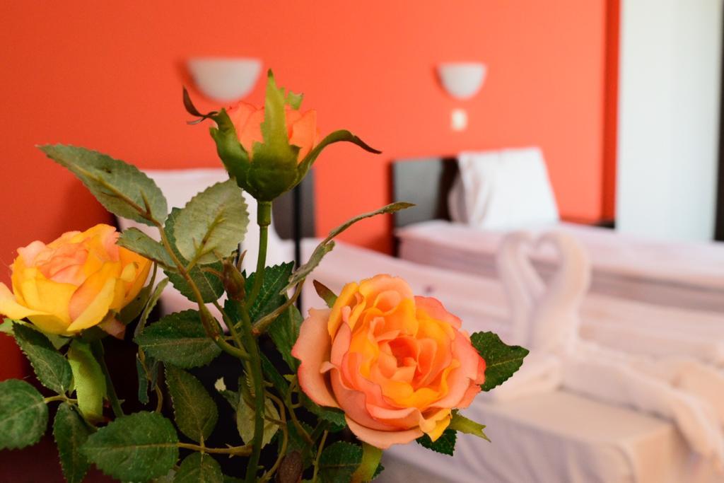 Hotel Alexander Sofya Dış mekan fotoğraf
